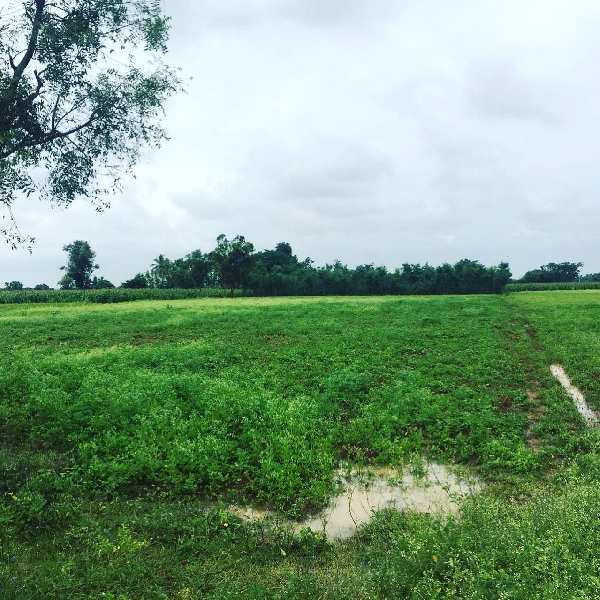 2 acres 17 guntas farm land for sale in Gowribidanuru