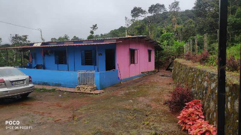3 acre coffee estate for sale in Chikkamagaluru