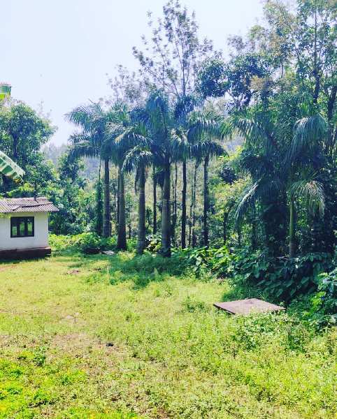 4 acre well maintained coffee estate for sale in Mudigere