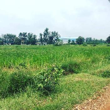 1 acre farm land for sale in Doddballapura