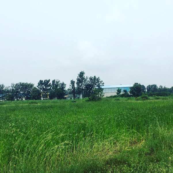 1 acre farm land for sale in Doddballapura