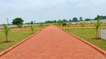 1200 Sq.ft. Residential Plot for Sale in Bihta, Patna
