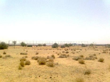 100 Bigha Farm Land for Sale in Jodhpur
