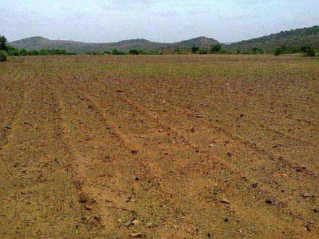 Property for sale in Phalodi, Jodhpur