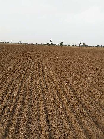 Agriculture land for rent/ lease for sollerplant