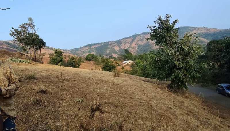 1 Acre Agricultural/Farm Land for Sale in Mahabaleshwar, Satara