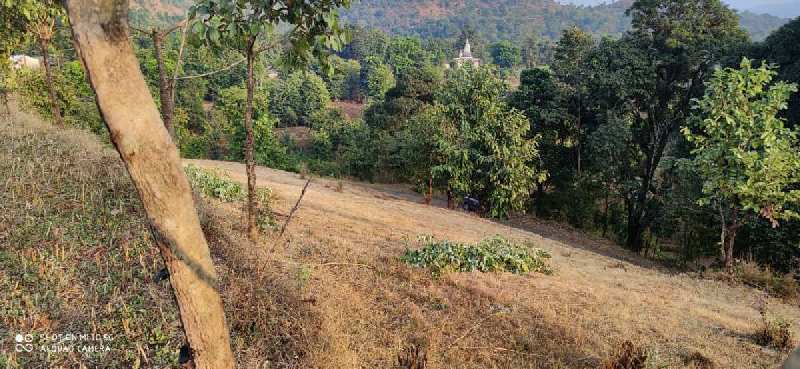 1 Acre Agricultural/Farm Land for Sale in Mahabaleshwar, Satara