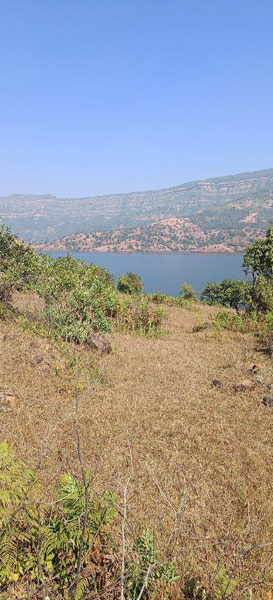 Dam touch plot for sale in wai