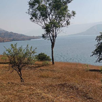 Dam touch plot for sale in wai