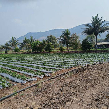 Property for sale in Wai, Satara