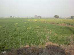 Residential Land For Sale In Wai, Satara
