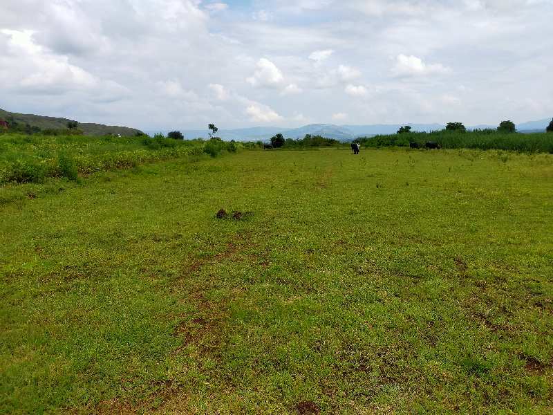 Agriculture plot for sale in Wai