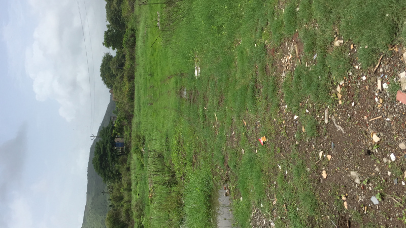 NA Plot for sale in Adai Village next to New Panvel