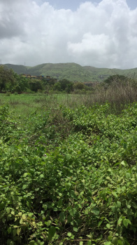 NA Plot for sale in Adai Village next to New Panvel