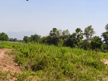 Industrial Land / Plot for Sale in Halol, Panchmahal (700000 Sq.ft.)