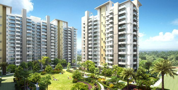 3 BHK Flats & Apartments for Sale in Sector 102, Gurgaon (1750 Sq.ft.)