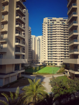 2 BHK Flats & Apartments for Sale in Sector 22, Gurgaon (1300 Sq.ft.)
