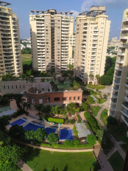 4 BHK Flats & Apartments for Sale in Sector 30, Gurgaon (5600 Sq.ft.)