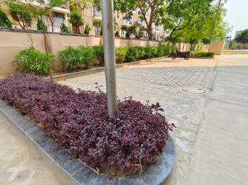 Property for sale in Sector 111 Gurgaon