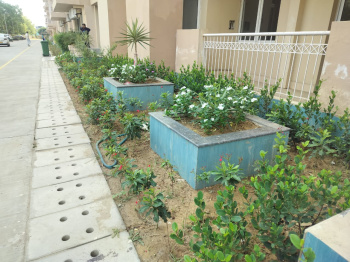 Property for sale in Sector 111 Gurgaon