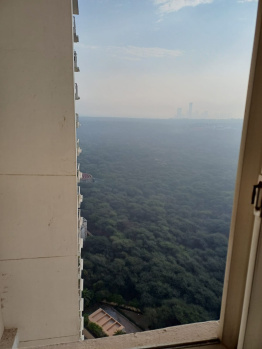 3 BHK Flats & Apartments for Sale in DLF Phase V, Gurgaon (2280 Sq.ft.)