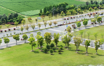 Residential Plot for Sale in Sector 19, Panipat (450 Sq. Yards)