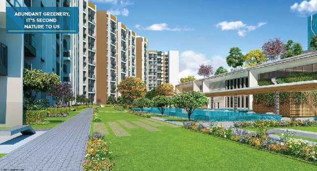 3 BHK Flats & Apartments for Sale in Seawoods, Navi Mumbai (1165 Sq.ft.)