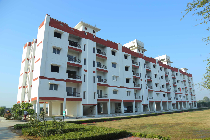 1 BHK Flats & Apartments For Sale In Vrindavan, Mathura (775 Sq.ft.)