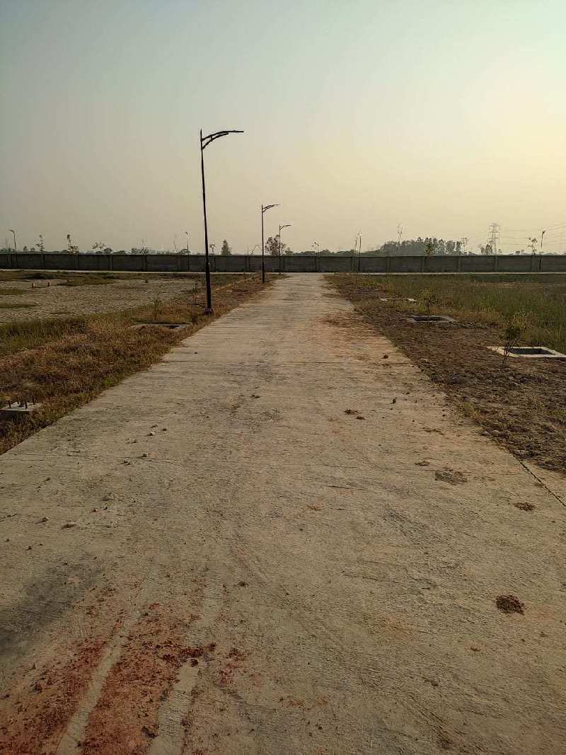 800 Sq. Yards Residential Plot For Sale In Sector 60, Gurgaon