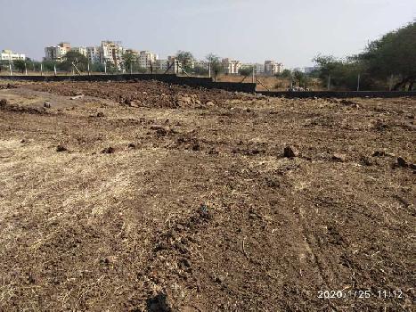 10 Acre Agricultural/Farm Land for Sale in Mavel, Pune