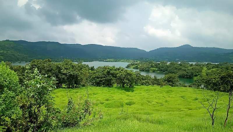 21 Acre Agricultural/Farm Land for Sale in Mavel, Pune