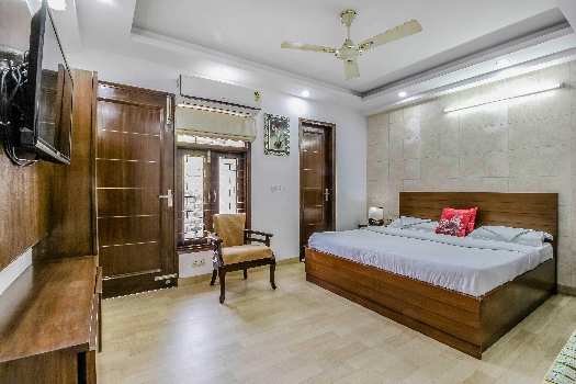 3 BHK Builder Floor for Sale in Block F, Green Park, Delhi (4000 Sq.ft.)