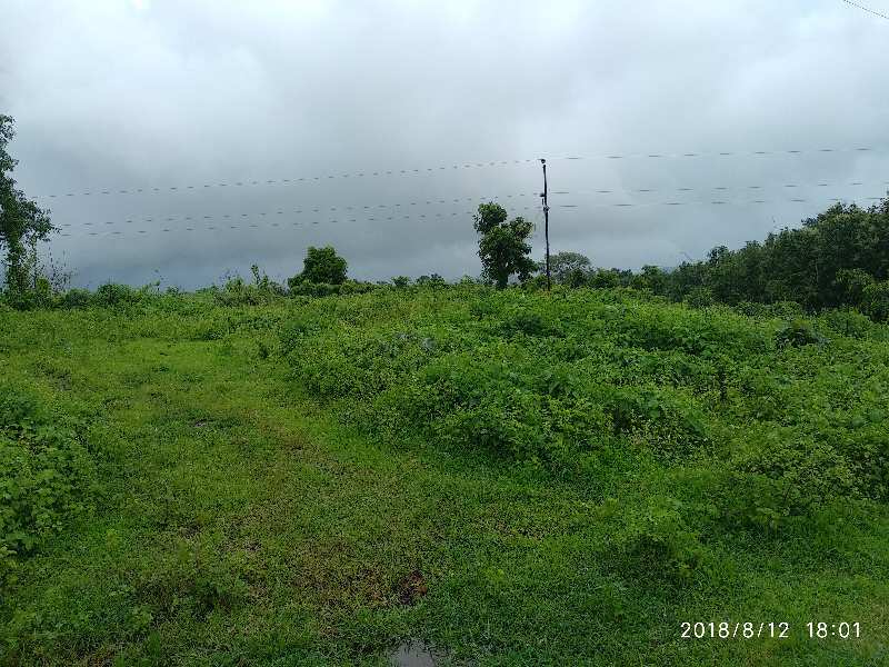 4 Acre Agricultural/Farm Land for Sale in Wada, Palghar