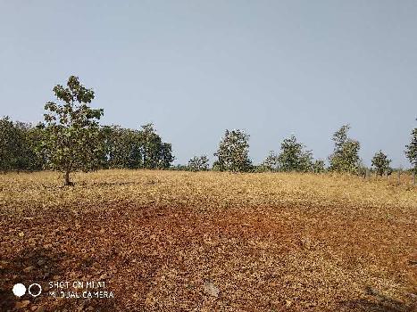 3 Acre Residential Plot For Sale In Wada, Palghar