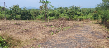 868 Sq.m Residential Plot for Sale in Dodamarg