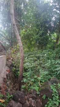 710 Sq. Meter Residential Land/Plot for Sale in Thivim