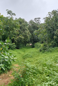 2800 Sq. Meter Residential Land/Plot for Sale in Divar