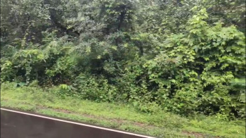 17200 Sq. Meter Residential Land/Plot for Sale in Dodamarg