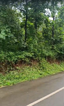 Property for sale in Dodamarg, Sindhudurg