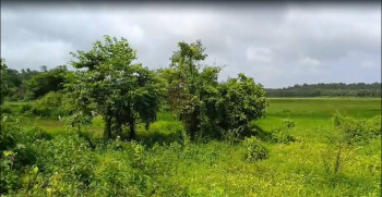 1375 Sq. Meter Residential Land/Plot for Sale in Bodiem
