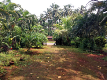 14000 Sq.  meter Residential Land/Plot for Sale in Dodamarg