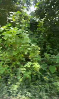 Residential Plot for Sale in Assagaon, North Goa, Goa (2300 Sq. Meter)