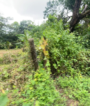 Residential Plot for Sale in Siolim, Bardez, Goa (2000 Sq. Meter)