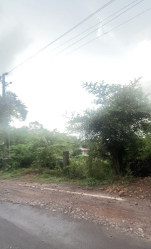 Residential Plot for Sale in Assagaon, North Goa, Goa (2400 Sq.ft.)