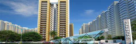 3 BHK Flats & Apartments for Sale in Sector 143, Noida (1356 Sq.ft.)