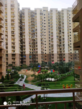 2 BHK Flats & Apartments for Sale in Greater Noida West, Greater Noida (950 Sq.ft.)