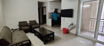 2 BHK Flats & Apartments for Rent in Sector 137, Noida (1045 Sq.ft.)