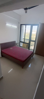 1 BHK Flats & Apartments for Rent in Knowledge Park 5, Greater Noida (400 Sq.ft.)