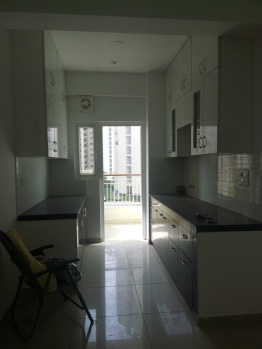 Flats & Apartments for Sale in Sector 43, Noida (1255 Sq.ft.)