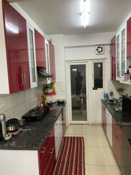 2.5 BHK Flats & Apartments for Sale in Sector 144, Noida (1160 Sq.ft.)